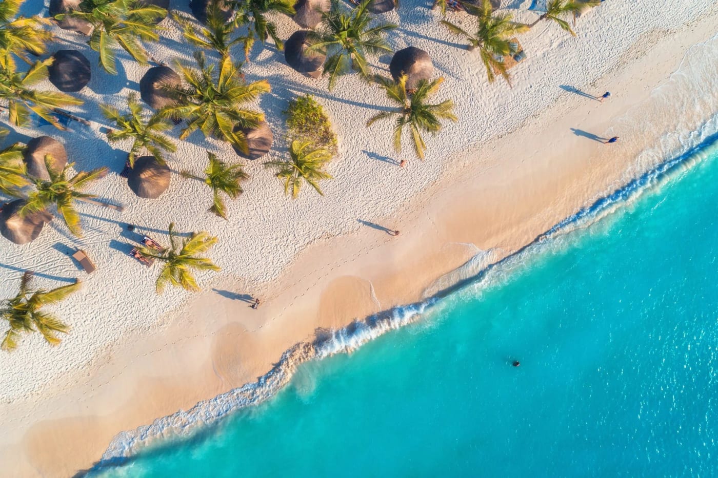 An aerial view of a Punta Cana beach