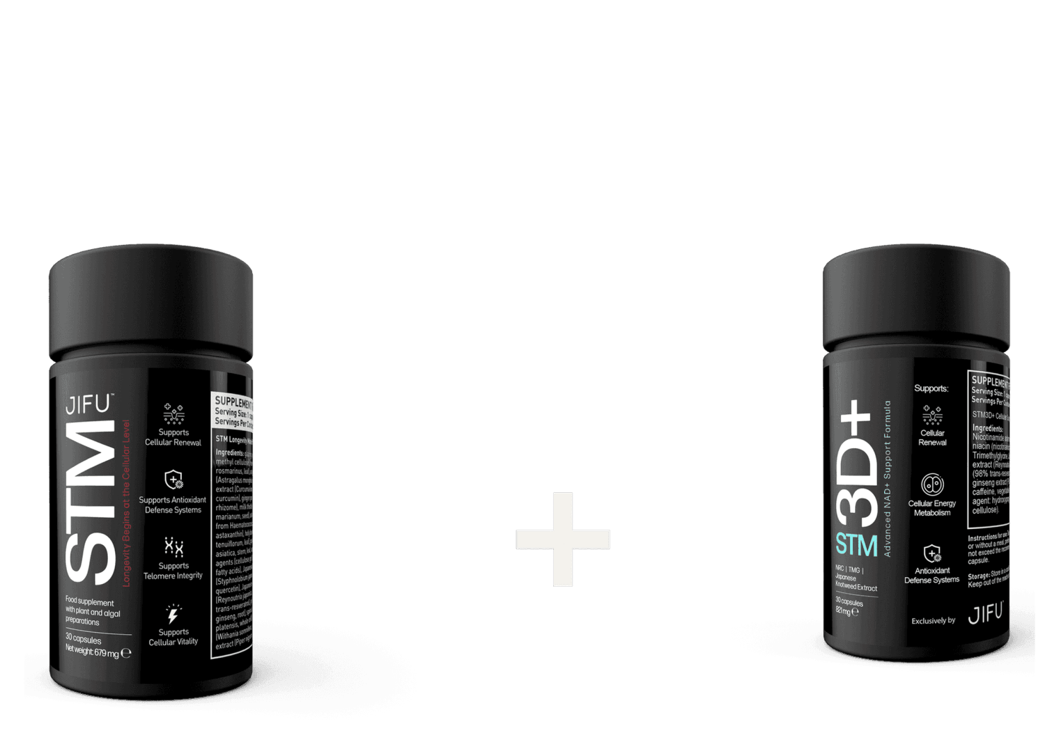 STM and STM 3D+ jars