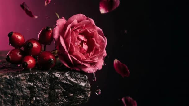 Bulgarian Rose & Rose Hip