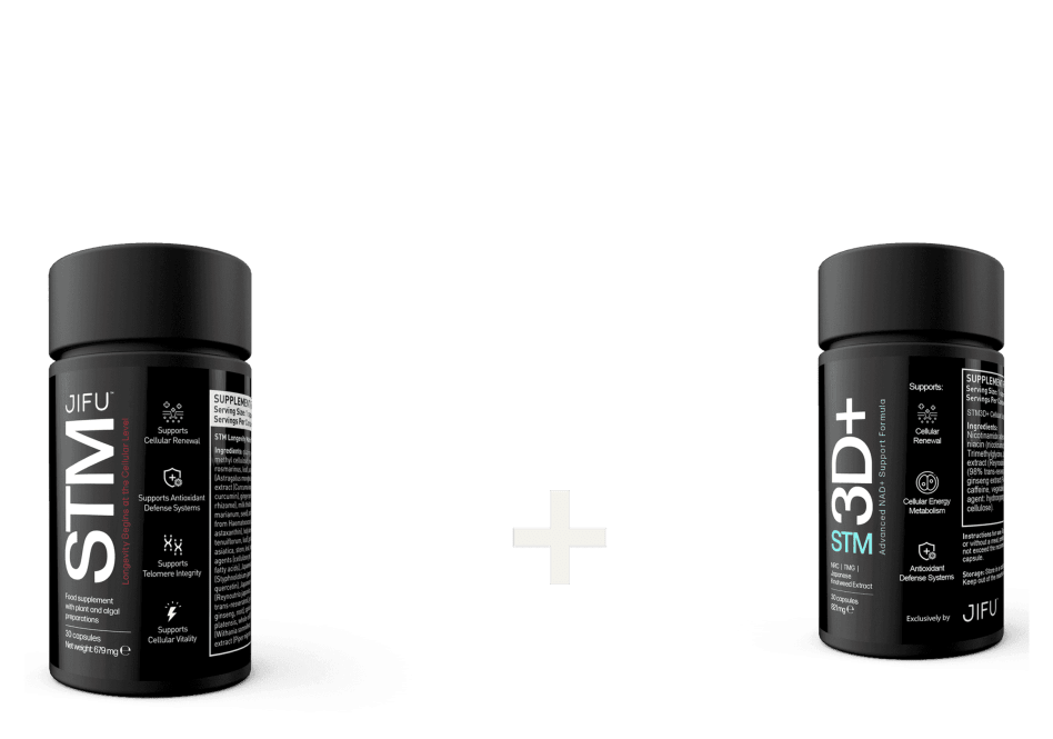 STM and STM 3D+ jars